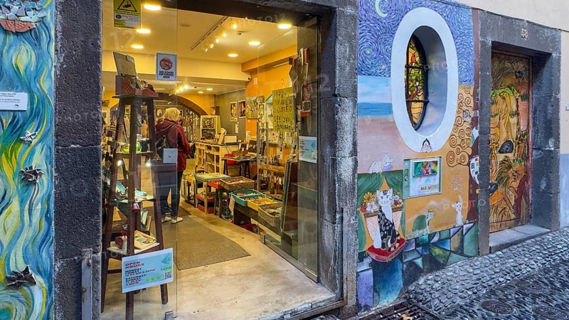Colourfully painted doors on Santa Maria Street in the old town, Funchal, Madeira, Portugal