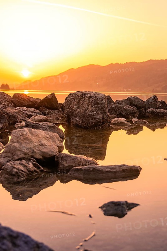 Rocks in calm water at sunset, outlines reflecting in clear lake, Großer Alpsee, Immenstadt im Allgäu, Bavaria, Germany