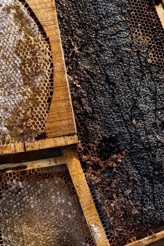 Close up image of a honeycomb filled with natural golden honey, showcasing the intricate hexagonal pattern and rich textures. Perfect representation of organic beekeeping