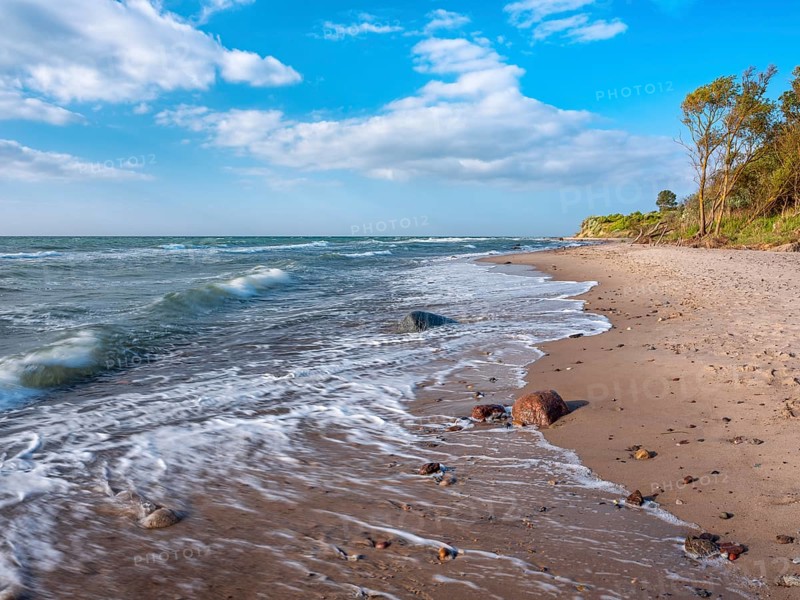Natural secluded stretch of coast with surf on the beach of the stormy Baltic Sea, foam crowns on the waves, near Rerik, Mecklenburg-Western Pomerania, Germany
