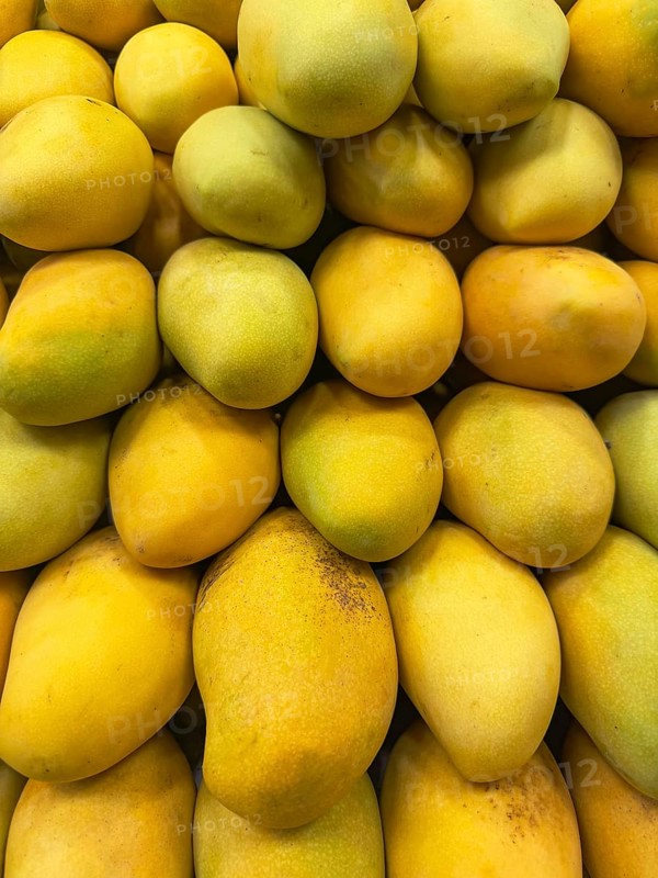 A vibrant display of fresh, ripe mangoes piled closely together, showcasing their vivid yellow color and enticing texture, perfect for a tropical fruit selection theme