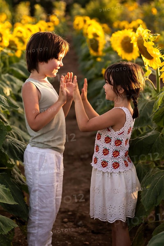 Two children play joyfully in a vibrant sunflower field during sunset. They touch hands, smiling amidst the tall blooms, capturing a moment of pure childhood bliss