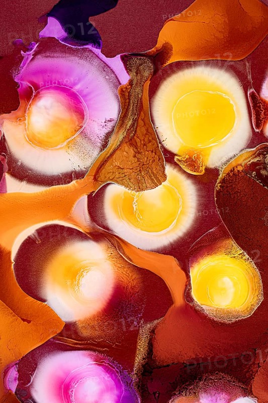 An abstract image featuring vibrant swirls of ink in shades of pink, yellow, orange, and brown on a textured red backdrop