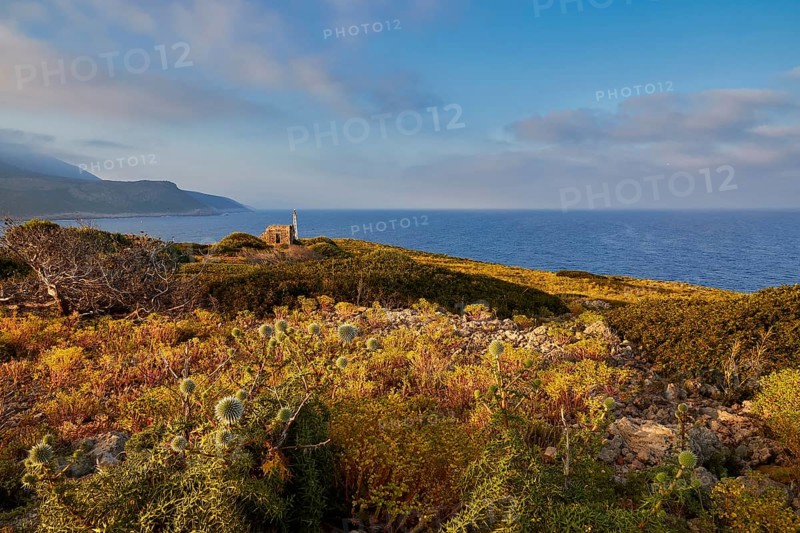 A coastal landscape with an old house and blooming vegetation, morning light, Tsichli Babas islet, Navarino Bay, Pylos, Peloponnese, Greece