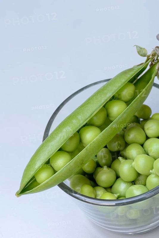 Fresh green peas in shell and pea pod, Pisum sativum