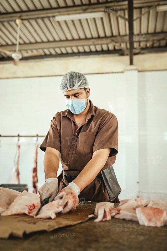 Cutting up a slaughtered dromedary (camelus dromedarius), camel slaughter, Salalah slaughterhouse, Dhofar, Oman