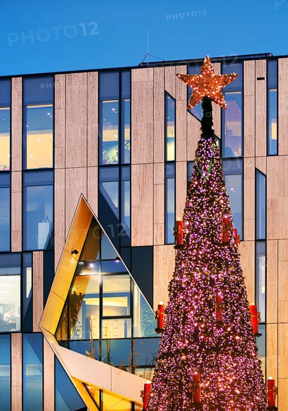 Christmas tree in front of the modern façade of the Koe-Bogen by architect Daniel Libeskind, Christmas market, Düsseldorf, North Rhine-Westphalia, Germany