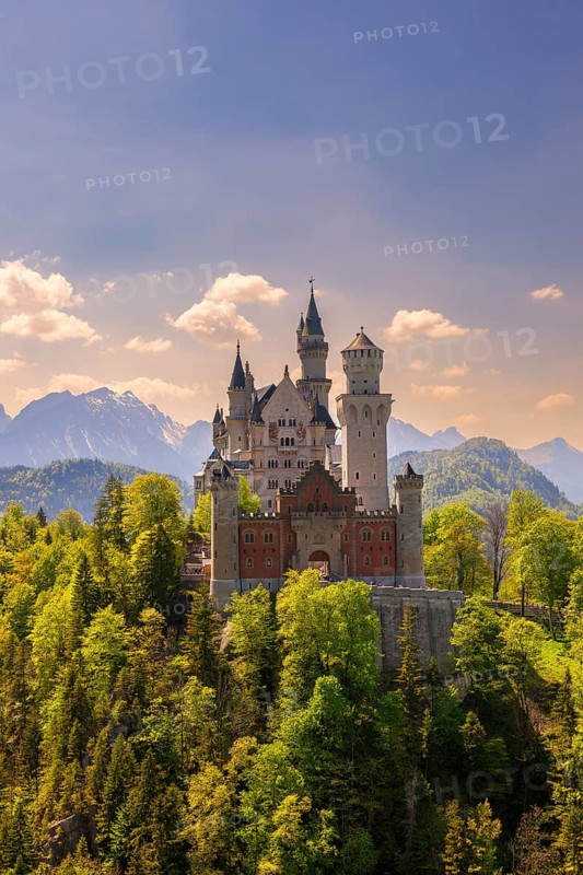 Neuschwanstein Castle amidst green trees in front of a clear sky and mountain scenery, bright summer day, Schwangau, Ostallgäu, Allgäu, Swabia, Upper Bavaria, Bavaria, Germany