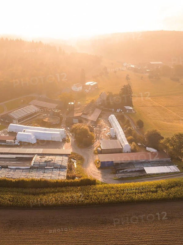 Aerial view of an extensive rural scene with farm and fields, Gechingen, Black Forest, Germany