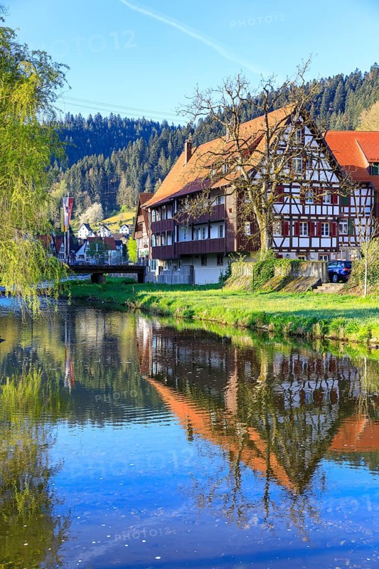 Tributary of the Schiltach into the Kinzig with reflection of historic half-timbered houses of the tanning town, Schiltach, Black Forest, Baden-Württemberg, Germany