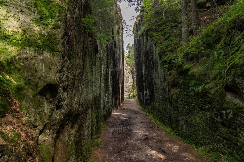 Mühlsteinbrüche hiking area near Jonsdorf in the Zittau Mountains, Upper Lusatia, Saxony, Germany
