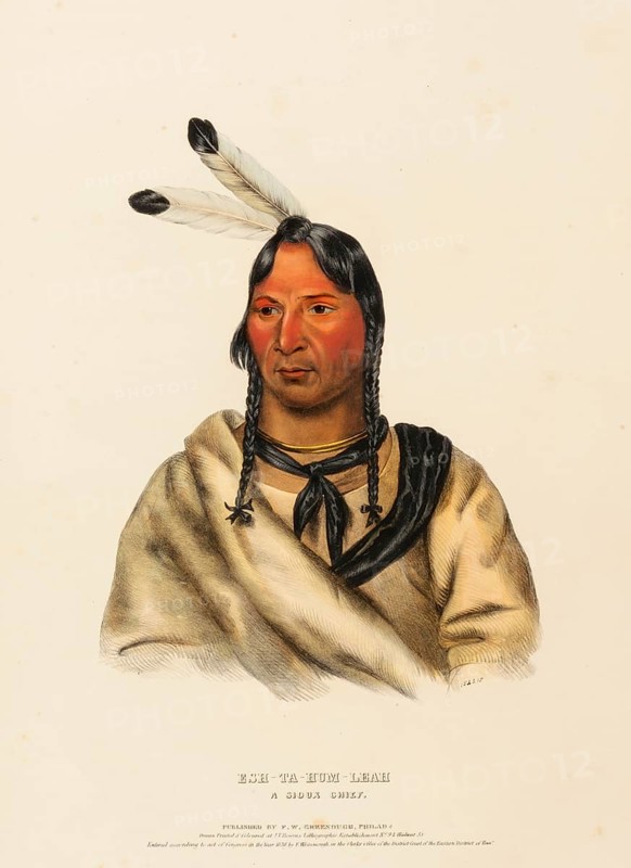Esh-Ta-Hum-Leah. A Sioux Chief (1838), Indians, Historical Indian Tribes from North America, Charles Bird King (1785, 1862), Historical, digitally restored reproduction from a 19th century original, Record date not stated