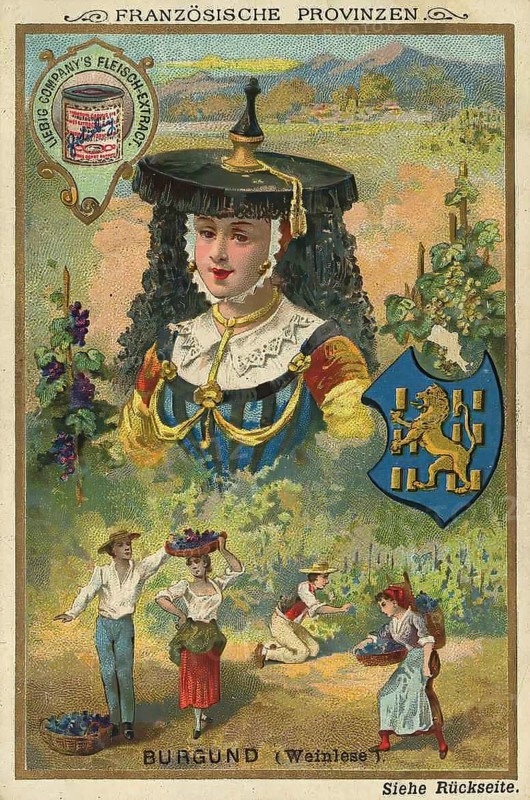 Picture series French provinces, grape grape harvest in Burgundy, Liebig picture, digitally restored reproduction of a collector's picture from ca 1900, public domain, exact date unknown, woman with grape harvest scene and Burgundian landscape in decorative style