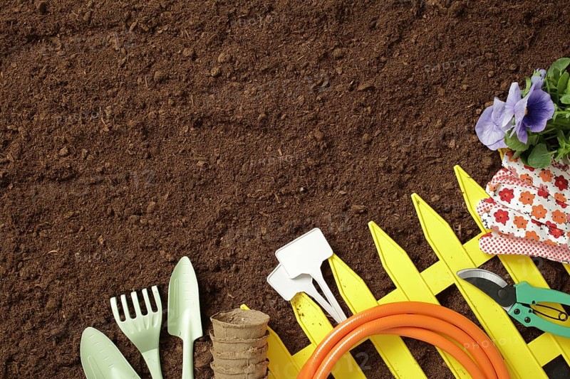 A vibrant set of gardening tools, gloves, and blooming flowers against rich soil. Ideal for spring planting, showcasing preparation and enthusiasm for gardening
