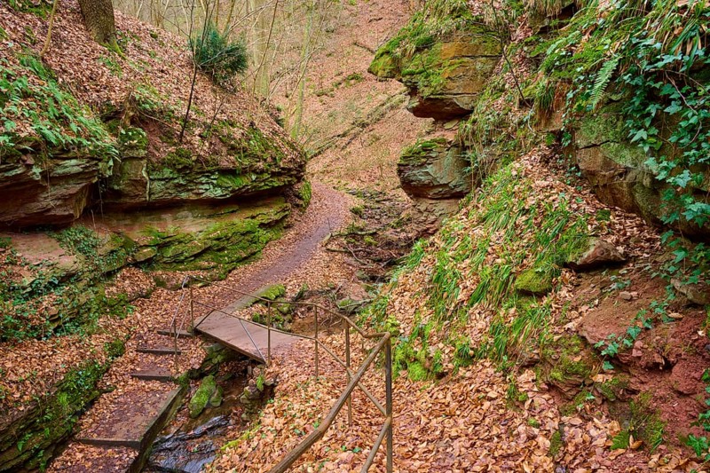 Holzsteg leads through a narrow gorge with moss-covered rocks and leaves, Seltenbach Gorge, Klingenberg am Main, Churfranken, Untermain, Main, Bavaria, Germany