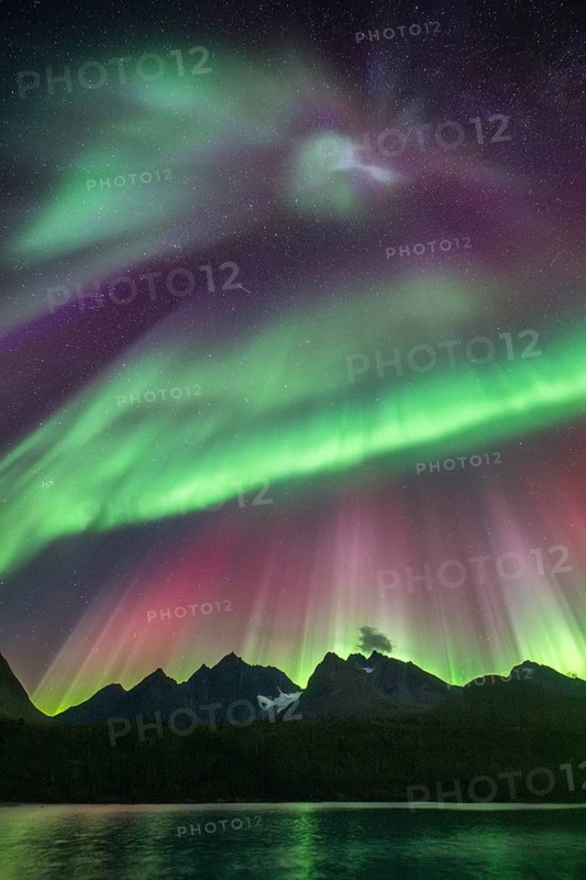 Northern lights over Bergen in the Lyngen Alps, reflection on the lake, Troms og Finnmark, Norway