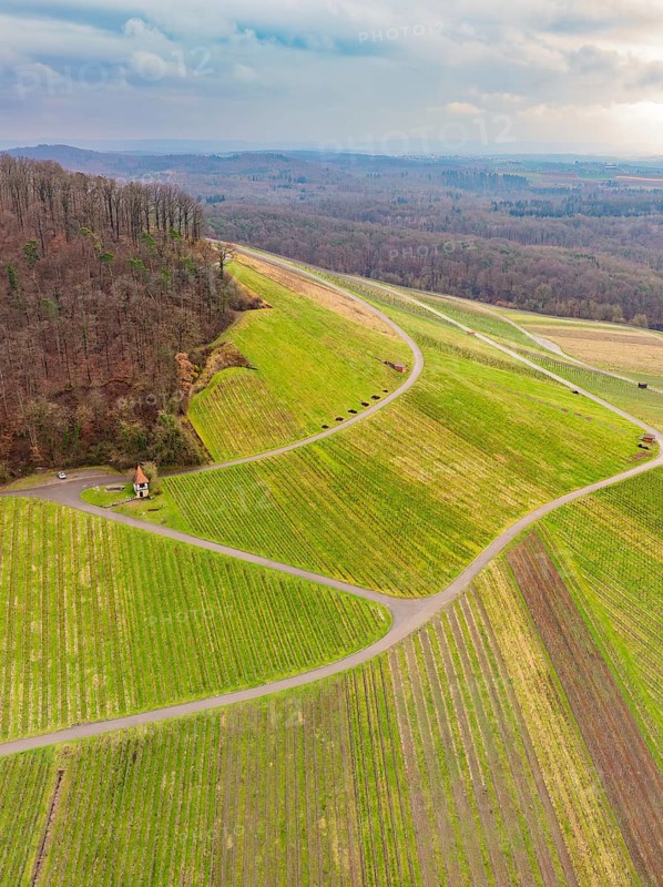 Green fields on hills, criss-crossed by roads, bordering a forest, Großbottwar, Ludwigsburg district, Baden-Württemberg, Germany