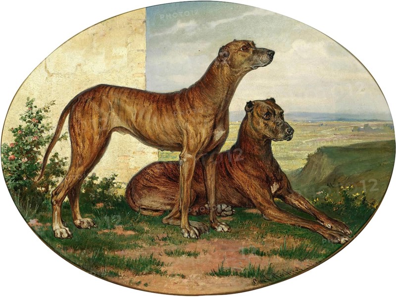 Carl Reichert, Karl Reichert, pseudonym J. Hartung (born 27 August 1836 in Vienna, died 5 April 1918 in Graz) . Austrian painter, especially landscape painter and animal painter. Here his work:, Two Great Danes in a Vast Landscape (1869), Two Ulm dogs, Great Danes, in a vast landscape, Painting, Reproduction of the painting, Work of art, Historical