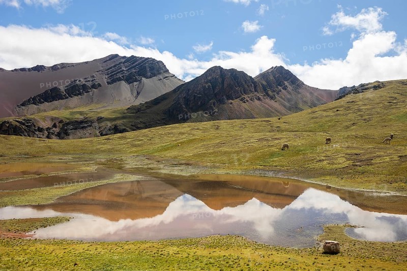 Alpacas graze peacefully in the vast landscape near a reflective lagoon, surrounded by the striking peaks of the Andes Mountains in Peru