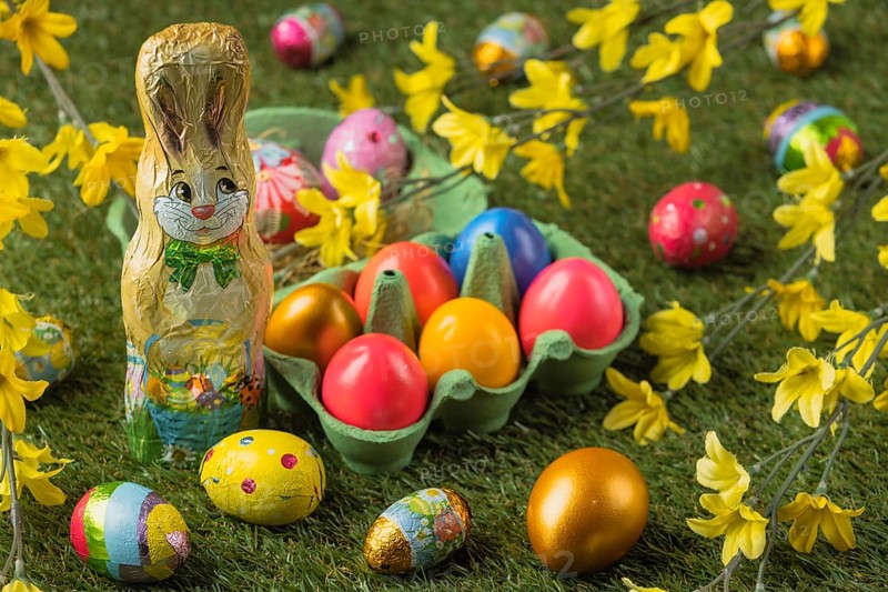 Colorful easter eggs and a chocolate easter bunny on green background with blossoms