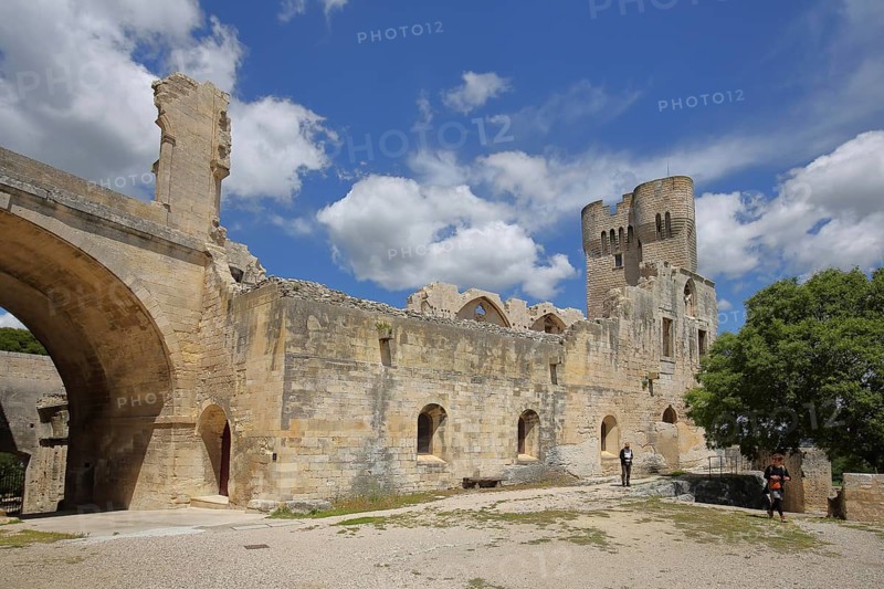Courtyard of the Romanesque Abbey of Montmajour, Benedictine monastery, Arles, Bouches-du-Rhône, Camargue, Provence, France