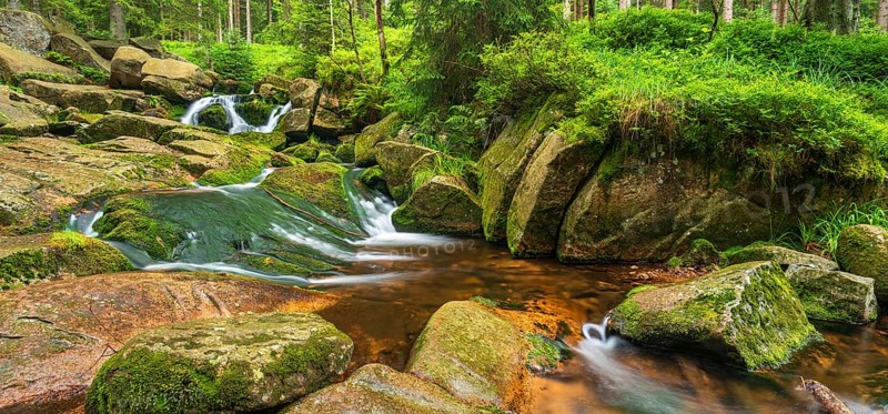 On the upper reaches of the Bode, mountain stream covered with moss in the Harz Mountains, near Braunlage, Lower Saxony, Germany