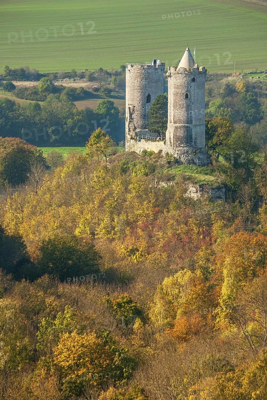 View of the Saaleck castle ruins in the Saale valley in autumn, Bad Kösen, Burgenlandkreis, Saxony-Anhalt, Germany