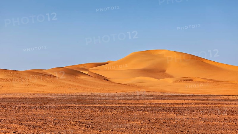 Soft orange sand dunes against the clear blue desert sky, The sand dunes of the Sahara in Algeria