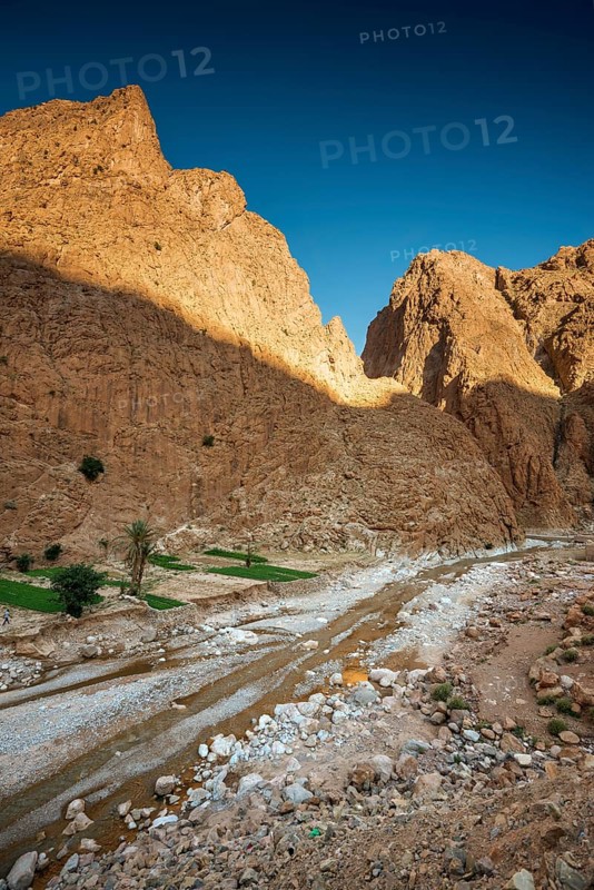 Todra Gorge, Tinghir, Drâa-Tafilalet Region, Atlas Mountains, Morocco