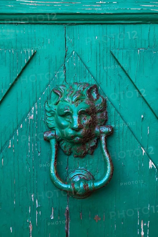 Close-up of rusted lion head shaped metal door knocker on green painted wooden entrance door, Manarola, Cinque Terre, La Spezia province, Italy