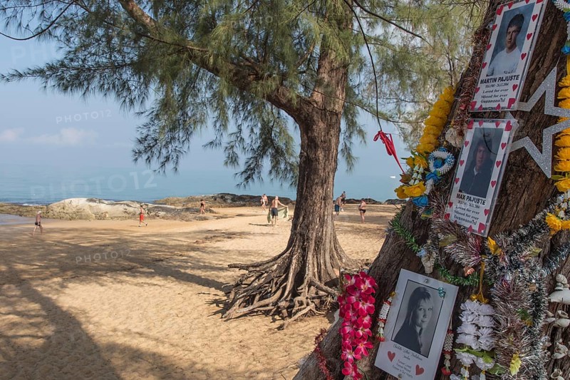 Khao Lak, Thailand, 08.02.2014 JE - Photos of tsunami victims who died at this location on the beach in Khao Lak, Thailand, are attached to a tree on the beach, Khao Lak, Thailand
