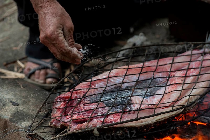 Preparing and grilling Masgouf over an open fire in the southern marshes of Iraq, fish cooked over an open fire is the most popular food in Iraq, Middle East