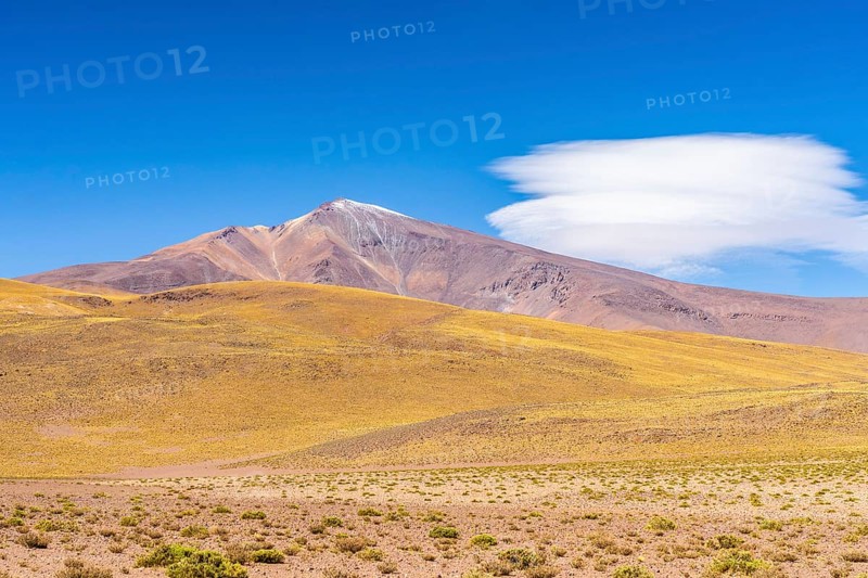 Panoramic view showcasing La Puna's vast and serene highland landscape in the Argentinian Andes, under a clear blue sky with a distinctive lenticular cloud over a snow-capped mountain