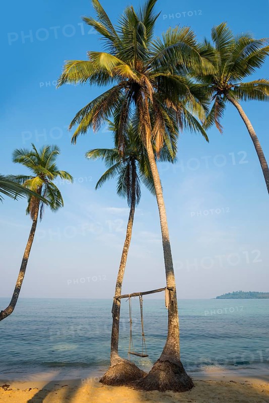 Sandy beach beach with coconut palms, Ao Noi Beach, Koh Kood, Koh Kut, Gulf of Thailand, Thailand