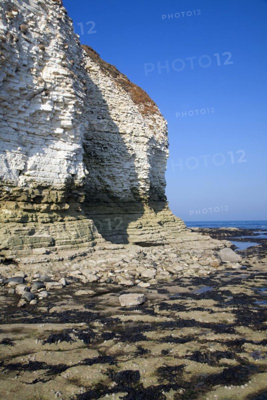 Coastal scenery at Flamborough Head, Yorkshire, England, United Kingdom