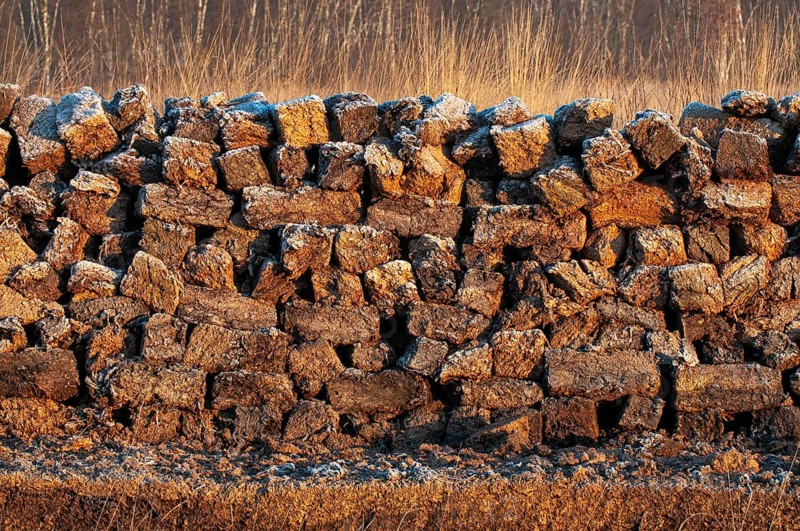 Peat cut in sod in a wintry moor, Goldenstedt, Lower Saxony, Germany