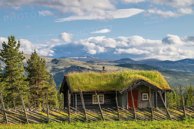 Grassy alpine hut, Alvdal Vestfjell, Hedmark, Innlandet, Norway, June 2025
