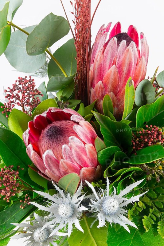 Detailed close-up of protea flowers surrounded by green foliage and eucalyptus, bouquet of flowers