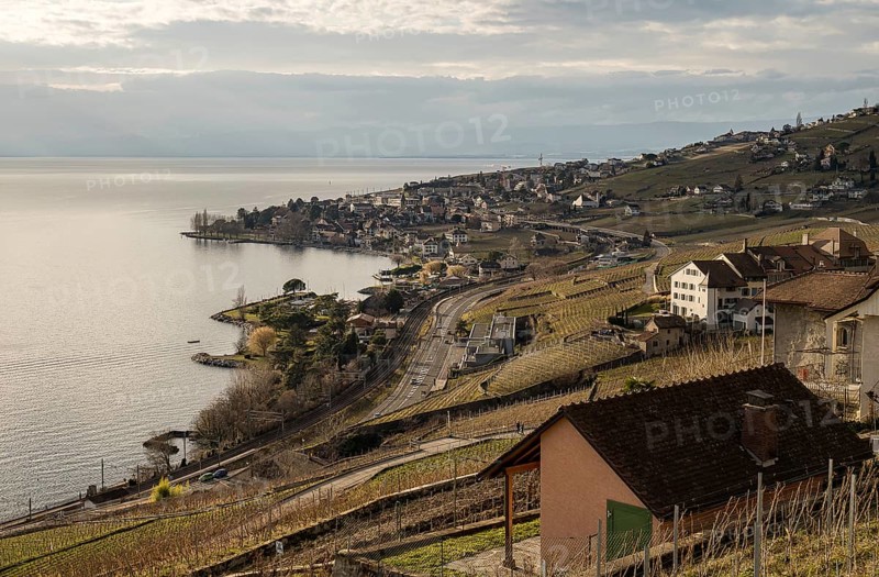 Capturing the serene beauty of Lavaux vineyards on a sunny winter day, this image boasts a stunning backdrop of Lake Geneva and the Swiss and French Alps. The charming landscape of this UNESCO World Heritage site