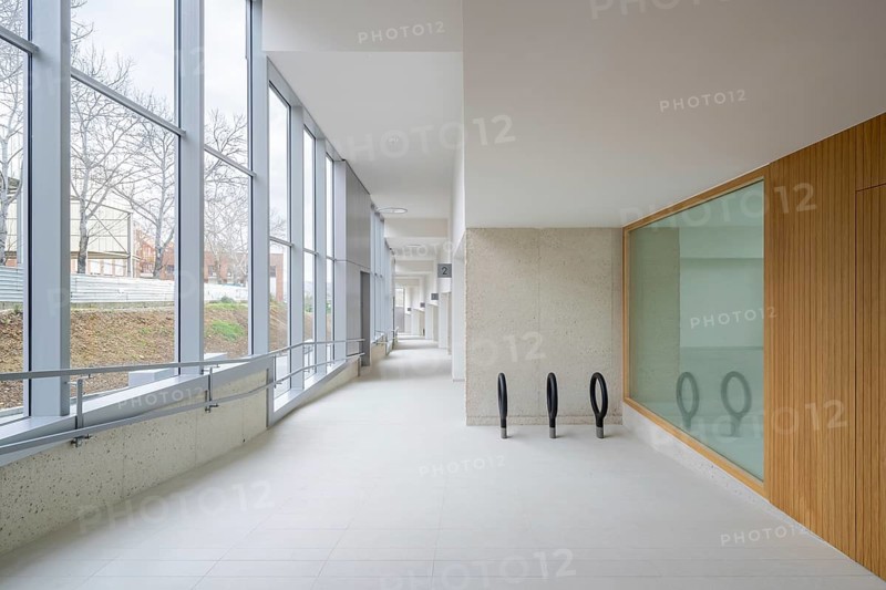 A spacious corridor featuring large, energy-efficient windows, with a minimalist interior, sustainable design elements, and natural wood accents. Offering a serene and eco-friendly space that promotes energy efficiency and comfort