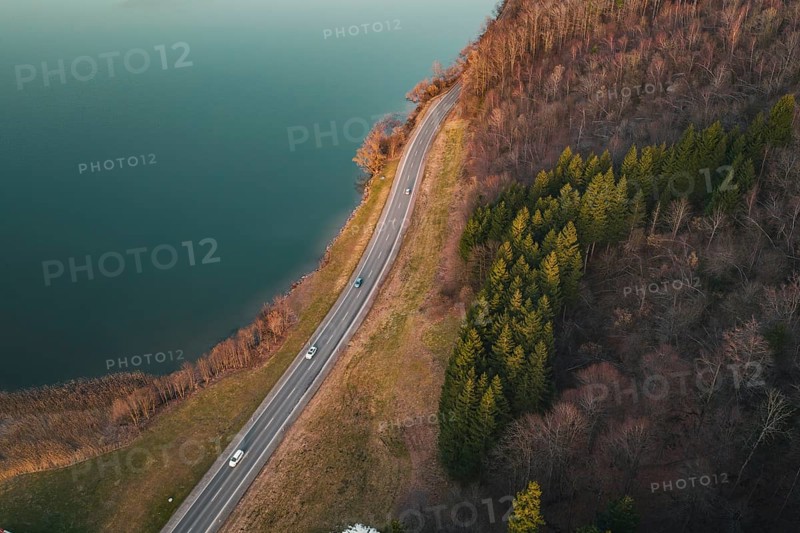 Road with moving traffic along a lake surrounded by dense forest, Großer Alpsee, Immenstadt im Allgäu, Bavaria, Germany