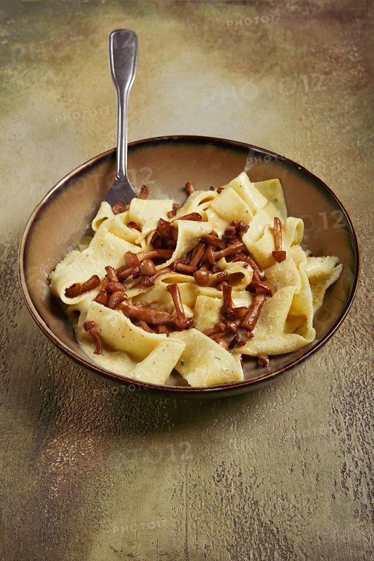 Pasta papardelle, in creamy garlic sauce, with mushrooms, traditional Italian cuisine, pasta carbonara, homemade, no people