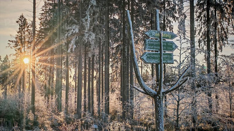 Rennsteig signpost on a snowy forest trail at sunset, surrounded by tall trees and a cozy, wintry atmosphere, winter hiking on the Rennsteig, Thuringian Forest nature park Park