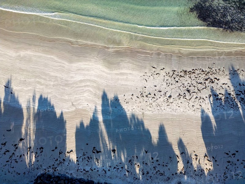 Aerial capture of a tranquil beach, showcasing rippled sand patterns and elongated shadows of trees, meeting the clear, gently flowing water at the shoreline of Victoria, Australia