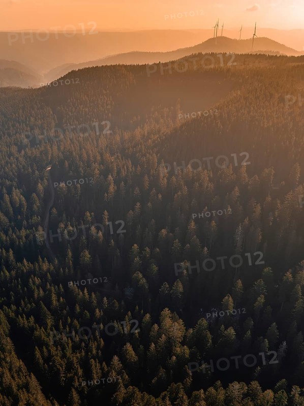 Mountains with dense forests in the warm light and wind turbines on the horizon, Calw district, Black Forest, Germany