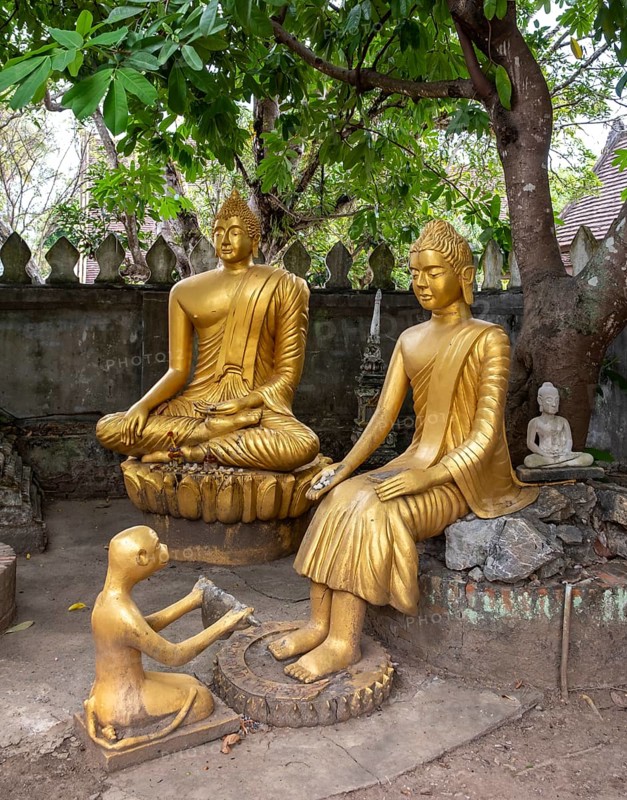 Buddha images at Wat Choumkhong, Luang Prabang, Laos