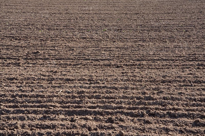 Ploughed field in autumn, Weserbergland, Germany