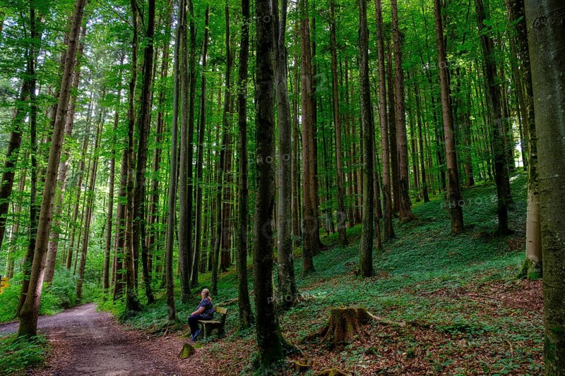 Hikers on a bench in the forest, forest trails on Schellenberg, Bergen, Chiemgau, Upper Bavaria, Bavaria, Germany