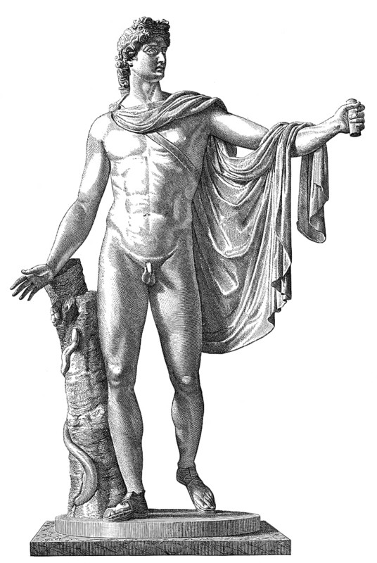 The Apollo of the Belvedere or Pythian Apollo, marble sculpture from Classical Antiquity