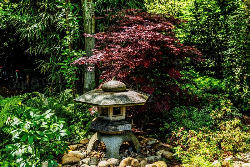 Historic Tuin Schoonoord Park, English-style garden with unique plants, Rotterdam, Netherlands
